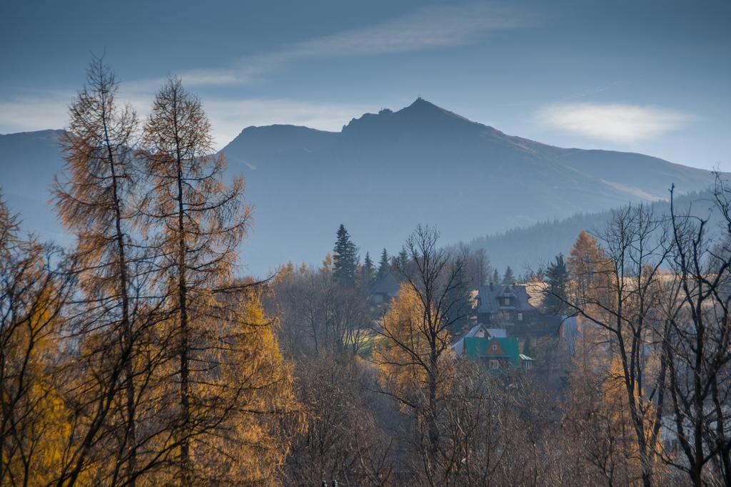 Willa Gardenia Zakopane Ruang foto